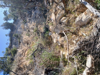 1st landslip